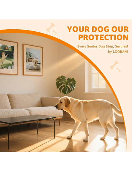 Almohadillas Antideslizantes para Patas de Perros Loobani XXL