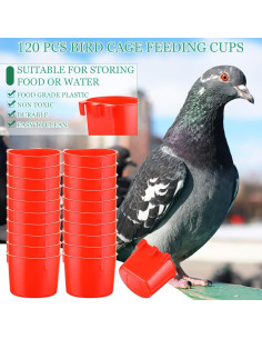 120 Tazas de Jaula Alimentadores para Aves Ziliny 8 oz Rojo 2