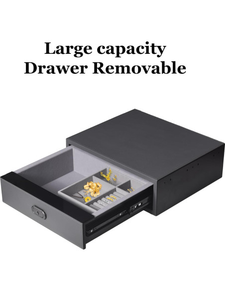 Caja Fuerte Biométrica XPEDITION para Joyería y Armas 0.6 Pies