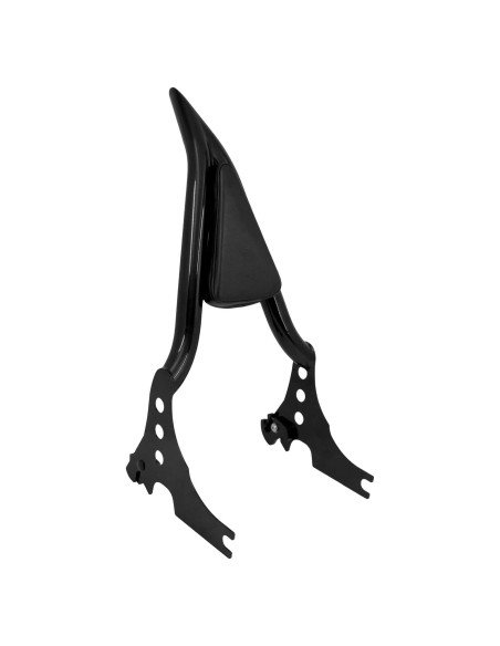 Barra Sissy Desmontable HDBUBALUS para Harley Sportster XL883 2004-2024