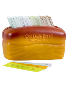 Caja de Promesas Pan Diario DaySpring con 240 Tarjetas KJV