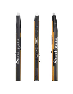 Saxofón digital AP 300 Pro con Bluetooth y grabación OTG