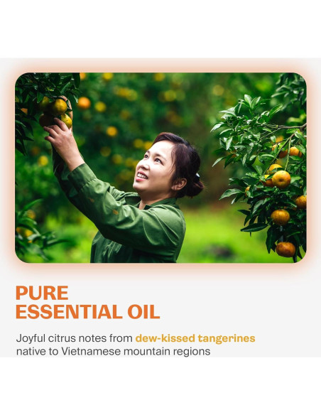 Jabón de Manos Espumoso Fuwa3e 286ml Natural Mandarina