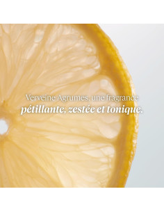 Gel de Ducha Cítricos Verbena L'OCCITANE 248 ml 2