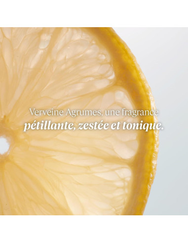 Gel de Ducha Cítricos Verbena L'OCCITANE 248 ml