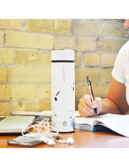 Termo Infusor de Té y Frutas GROSCHE Chicago 450ml Acero Inoxidable