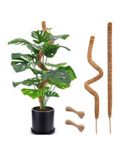Postes de Musgo Flexibles Soupiar 2 Unidades 71 cm para Plantas