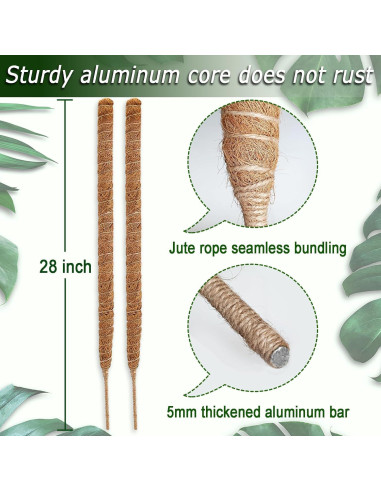 Postes de Musgo Flexibles Soupiar 2 Unidades 71 cm para Plantas