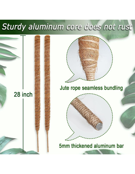 Postes de Musgo Flexibles Soupiar 2 Unidades 71 cm para Plantas