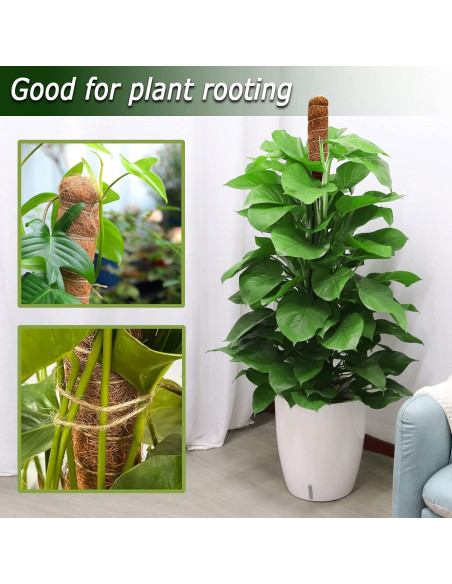 Postes de Musgo Flexibles Soupiar 2 Unidades 71 cm para Plantas