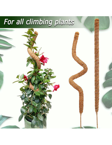 Postes de Musgo Flexibles Soupiar 2 Unidades 71 cm para Plantas