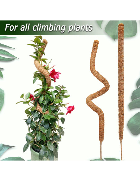 Postes de Musgo Flexibles Soupiar 2 Unidades 71 cm para Plantas