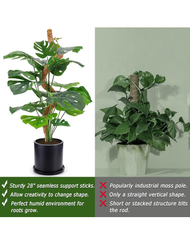 Postes de Musgo Flexibles Soupiar 2 Unidades 71 cm para Plantas