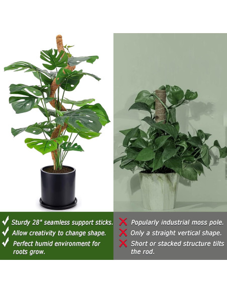 Postes de Musgo Flexibles Soupiar 2 Unidades 71 cm para Plantas
