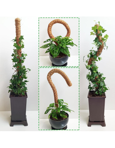 Postes de Musgo Flexibles Soupiar 2 Unidades 71 cm para Plantas