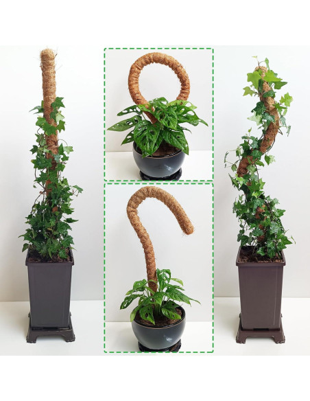 Postes de Musgo Flexibles Soupiar 2 Unidades 71 cm para Plantas