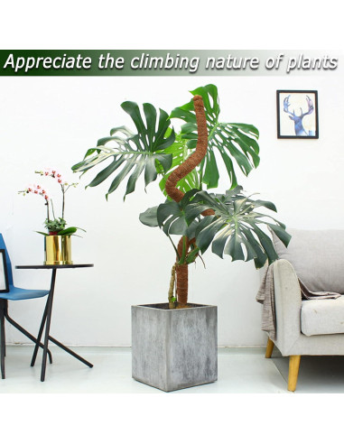 Postes de Musgo Flexibles Soupiar 2 Unidades 71 cm para Plantas