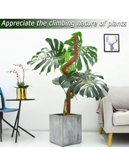 Postes de Musgo Flexibles Soupiar 2 Unidades 71 cm para Plantas