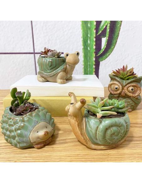 Juego de 4 macetas de cerámica SUNSMIL para suculentas
