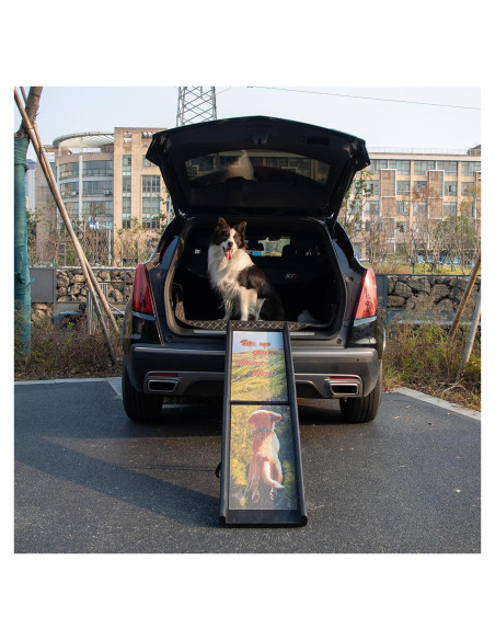 Rampa Plegable para Perros EOJDDPA 90kg Antideslizante 2-en-1