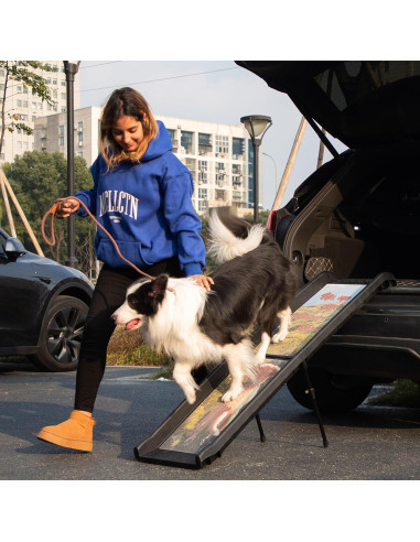 Rampa Plegable para Perros EOJDDPA 90kg Antideslizante 2-en-1