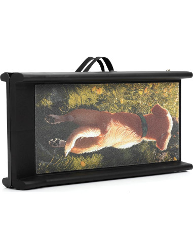 Rampa Plegable para Perros EOJDDPA 90kg Antideslizante 2-en-1