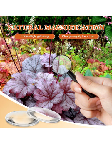 Lente de Aumento Biconvexa Hemobllo 42mm 4.7x 20 Pcs