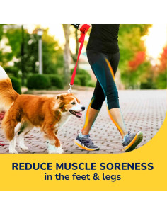 Plantillas Dr. Scholl's Walk Longer - Soporte Arco y Comodidad 2