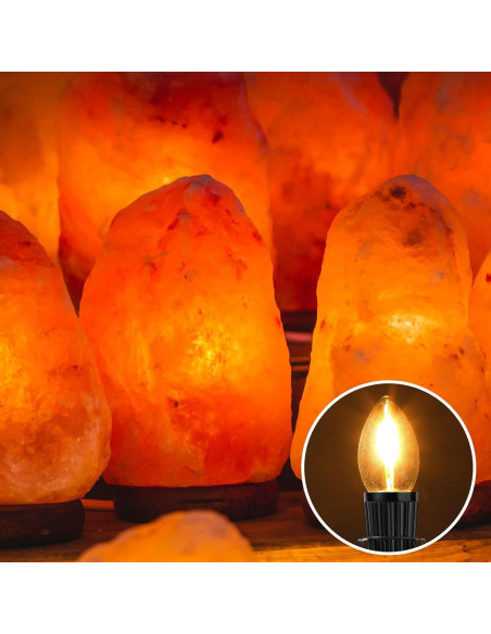 6 Piezas Cable de Lámpara de Sal Macarrie 1.8m E12 con Interruptor