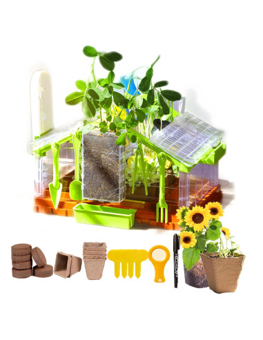 Kit de Crecimiento de Plantas para Niños NIJSAKU con Riego y Luz