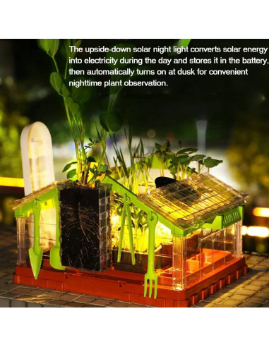 Kit de Crecimiento de Plantas para Niños NIJSAKU con Riego y Luz