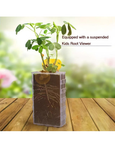 Kit de Crecimiento de Plantas para Niños NIJSAKU con Riego y Luz