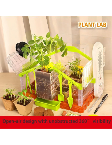 Kit de Crecimiento de Plantas para Niños NIJSAKU con Riego y Luz