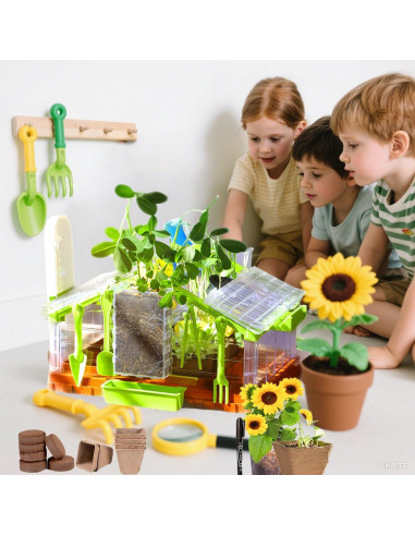 Kit de Crecimiento de Plantas para Niños NIJSAKU con Riego y Luz