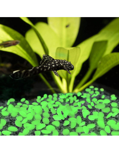 Piedras de Jardín Brillantes en la Oscuridad Pure Garden 200 Unidades