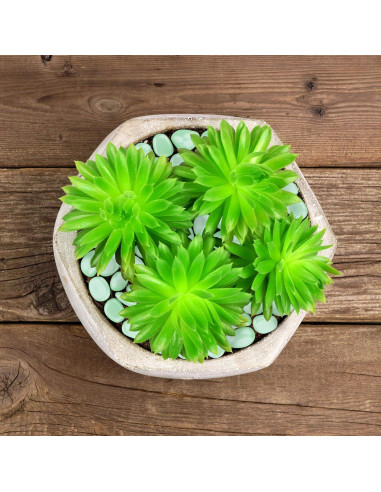 Piedras de Jardín Brillantes en la Oscuridad Pure Garden 200 Unidades