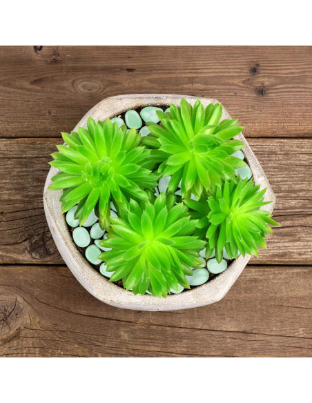 Piedras de Jardín Brillantes en la Oscuridad Pure Garden 200 Unidades