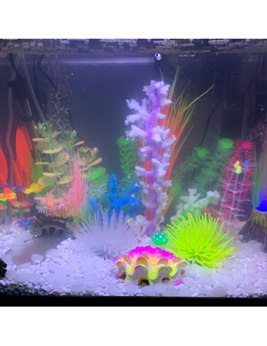 Adorno de Acuario Uotyle Almeja Tropical Rosa Melocotón