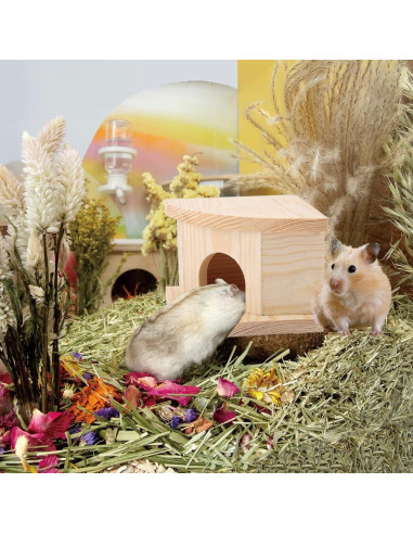 Casa de Madera Joyzan para Hámster y Animales Pequeños