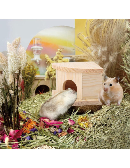 Casa de Madera Joyzan para Hámster y Animales Pequeños