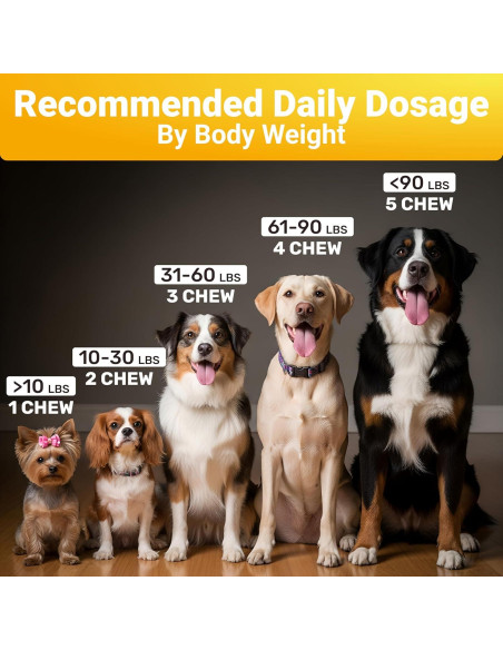 Golosinas para Alergia de Perro WuffWell - 140 Unidades