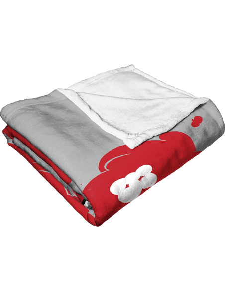 Manta de Toque de Seda Northwest Dexter's Lab 127x152 cm Boom