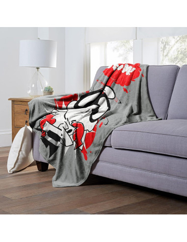 Manta de Toque de Seda Northwest Dexter's Lab 127x152 cm Boom