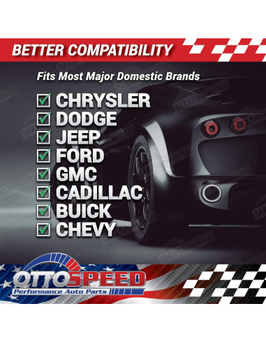 Kit de Tornillos y Tapas para Placas de Matrícula OttoSpeed - 12 Piezas de Acero Inoxidable Negro