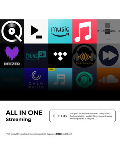 Reproductor de Música Hi-Fi Eversolo DMP-A6 Gen 2 4.18kg 2