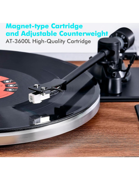 Reproductor de Vinilo Bluetooth FancyRabbit HP-H2410 2 Velocidades