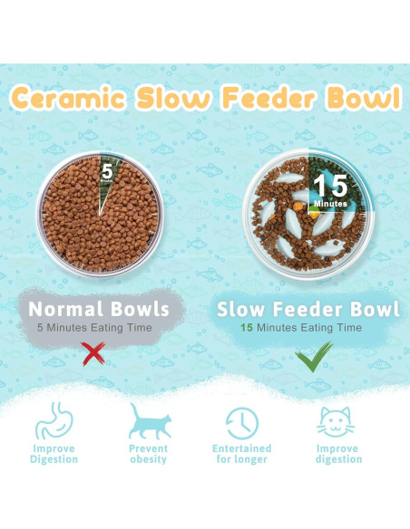 2 Platos de Cerámica para Gato con Soporte Elevado Funnymoom