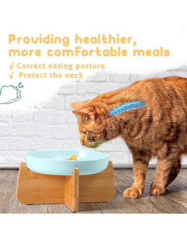 2 Platos de Cerámica para Gato con Soporte Elevado Funnymoom