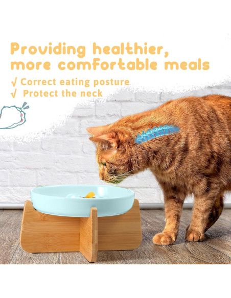 2 Platos de Cerámica para Gato con Soporte Elevado Funnymoom