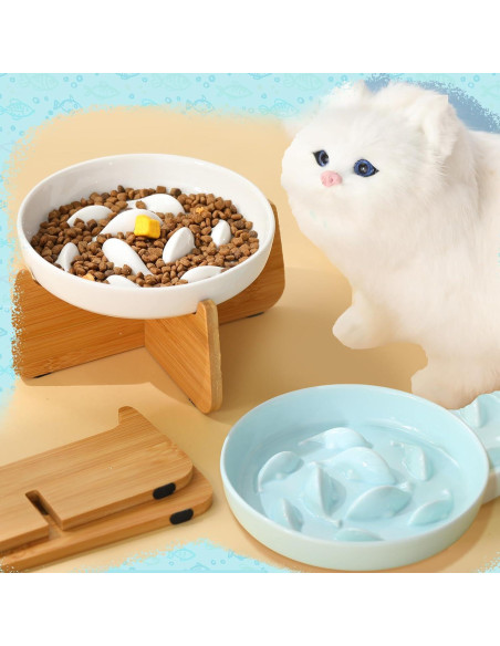 2 Platos de Cerámica para Gato con Soporte Elevado Funnymoom